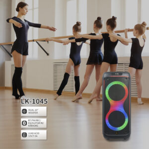 LK-1045 Double 10-Inch Party Speaker