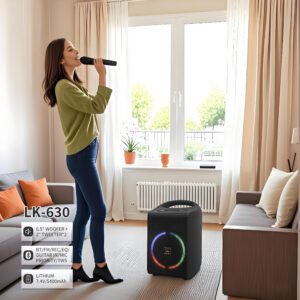 LK-630 6.5″ Bluetooth Party Speaker