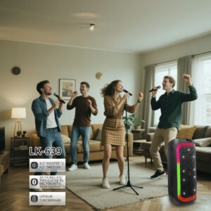 LK-639 Double 6.5-Inch Party Speaker