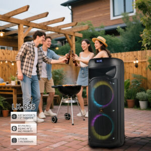 LK-655 Dual 6.5" Bluetooth Party Speaker