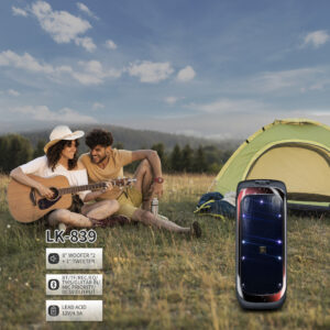 LK-839 Double 8-Inch Party Speaker