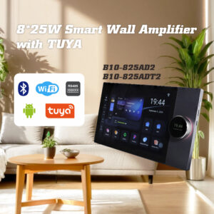 10-Inch 8*25W Wall Amplifier (2-Zone)