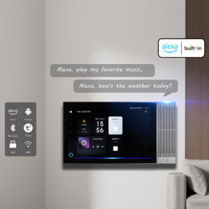 Smart Home Amplifier with Alexa and Tuya