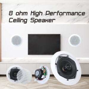 8ohm High-Performance Ceiling Speaker