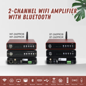 2-Channel WiFi Amplifier with Bluetooth