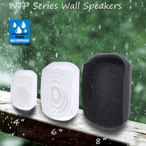 Indoor/Outdoor Wall Mount Speaker
