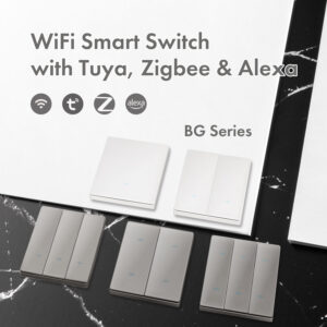 WiFi Smart Switch with Tuya & Alexa