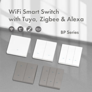 WiFi Smart Switch with Tuya & Alexa