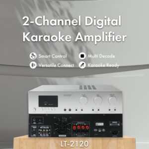 2-Channel Digital Karaoke Amplifier